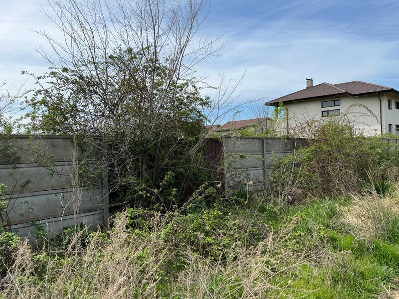 Pantelimon, Lebada, str. Sinaia, teren 24.750 mp